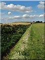 Path to Ringstone Hill