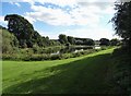 Fishing pond at The Dell - Grimethorpe Bottoms