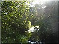 Lake beneath an old quarry in Billinge Woods