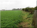 Field edge view at West Cairngillan Triangulation Pillar