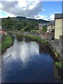 Tea-room View