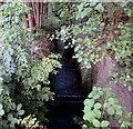 Cwmbran Brook near Llantarnam Road, Cwmbran