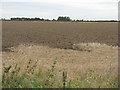 NT5583 : Ploughed field near Bonington by M J Richardson