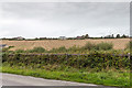 W6251 : Farmland north of minor road by David P Howard