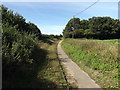 Footpath off Bungay Road