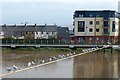 The east bank of the River Usk, Newport