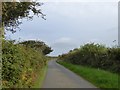 Minor road on Burrington Moor