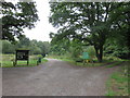 Paths into Bookham Common