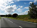 Bend ahead on the A1084