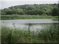 Lake at Amwell Nature Reserve