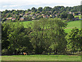 Looking across to Adel