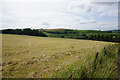 Field of cut grass above Hill Farm