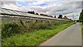 Glass houses at Providence Farm, Wistow