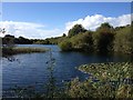 Lake near Woburn Sands