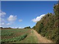 Towards Wavendon