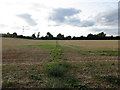 Footpath to Cropwell Bishop