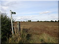 Footpath to Langar Lane