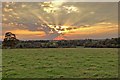 Pasture by Fields Barn Farm