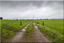 W4578 : Farm track north west of minor road by David P Howard