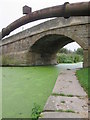 SE6130 : Brayton  Bridge  and  an  algae  covered  Selby  Canal by Martin Dawes