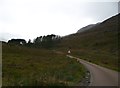 Road through Glen Torridon