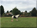 The Thickthorn estate overlooks the Kenilworth Horse Fair