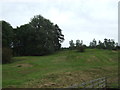 Grazing, Salesbury Hall