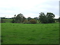 Grazing near Park Brook