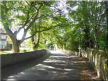 NZ1464 : Barmoor Lane, Ryton by Oliver Dixon
