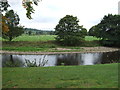 River Ribble at Sawley