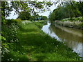 Cuckoo Way heading north along the Chesterfield Canal