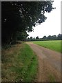 Towards Little Brickhill Copse