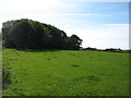 Farmland near Bodorgan