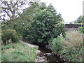 Skirden Beck