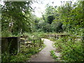 Berengrave Local Nature Reserve, Rainham