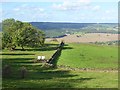 View from the Chevin