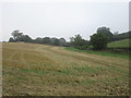 View towards the Saltby to Sproxton road