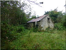 H4071 : Ruined cottage, Cavanacaw Upper by Kenneth  Allen