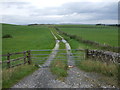 Farm track, Coniston Moor