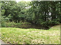 TM1587 : Pond off Rectory Road by Geographer