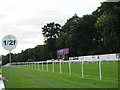 Hamilton Park Racecourse