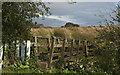 A footbridge towards Hoddlesden Moss