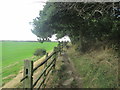 Footpath towards Wombwell Wood west of Hemingfield