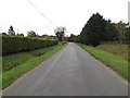 TM1191 : Fen Road, Hargate by Geographer