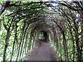 Shady path in Gisburne Park