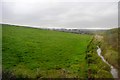 The edge of Marazion Marshes