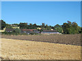 Field below Holyfield Farm