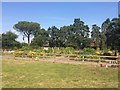 The Kitchen Garden