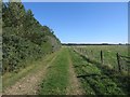 Track towards Hauxley Moorhouse