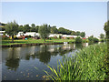 River Avon at Hampton Ferry